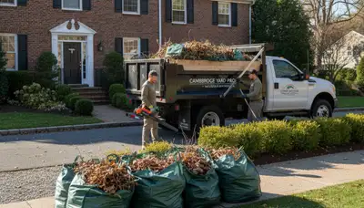 Storm debris cleanup and yard waste removal by landscaping crew in Cambridge, MA